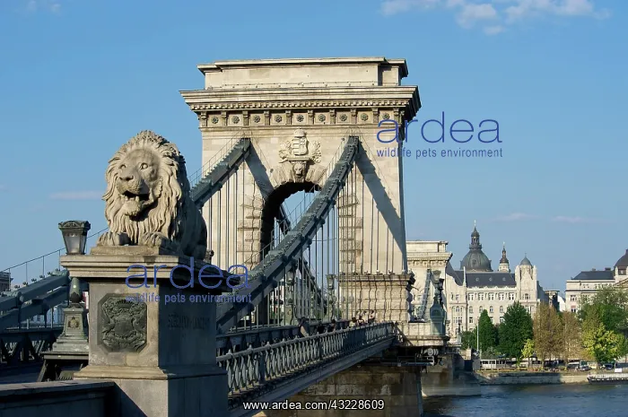 : Europe, Hungary, Budapest, Szechenyi Lanchid : Europe, Hungary, Budapest, Szechenyi Lanchid