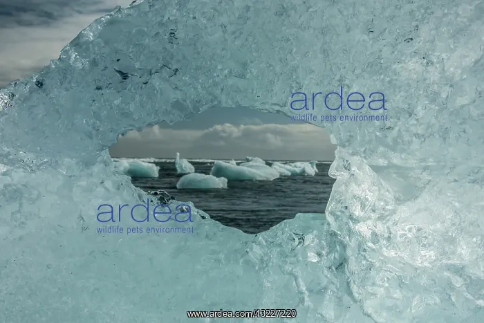 : Europe, Iceland, Breidamerkursandur. Icebergs : Europe, Iceland, Breidamerkursandur. Icebergs