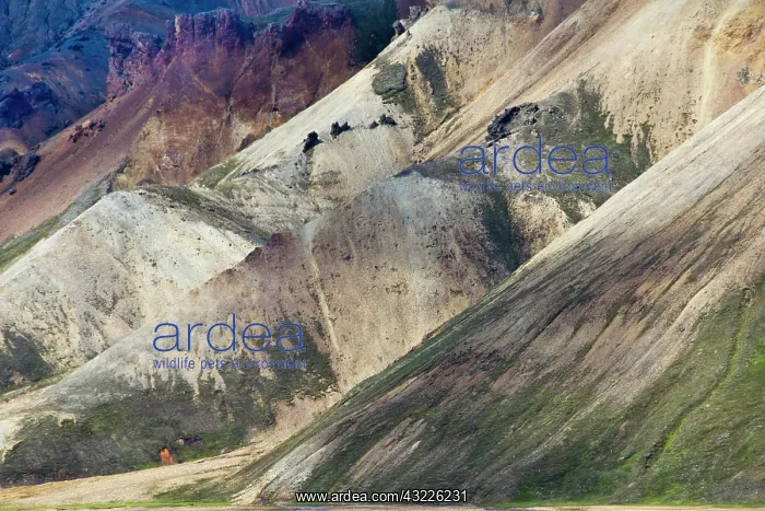 : Europe, Iceland, Landmannlaugar, Fjallabak : Europe, Iceland, Landmannlaugar, Fjallabak