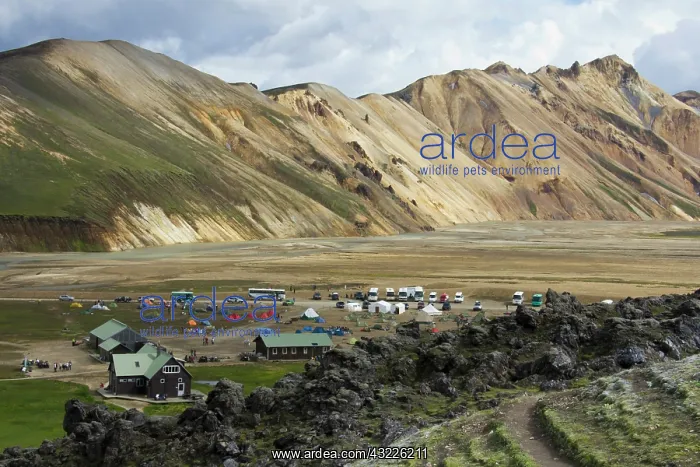 : Europe; Iceland; landscape view of volcanic : Europe; Iceland; landscape view of volcanic