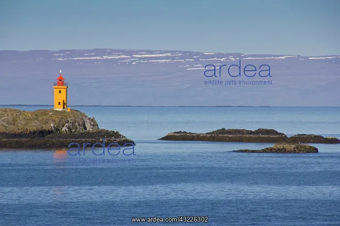 : Europe, Iceland, North Atlantic Ocean, lighthouse : Europe, Iceland, North Atlantic Ocean, lighthouse