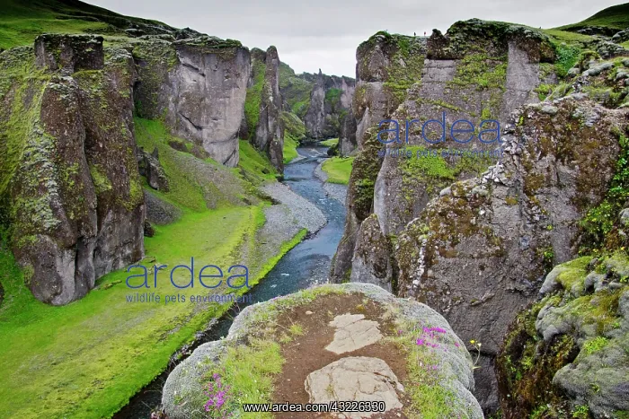 : Europe; Iceland; scenic landscape of Fjadrarglufur : Europe; Iceland; scenic landscape of Fjadrarglufur