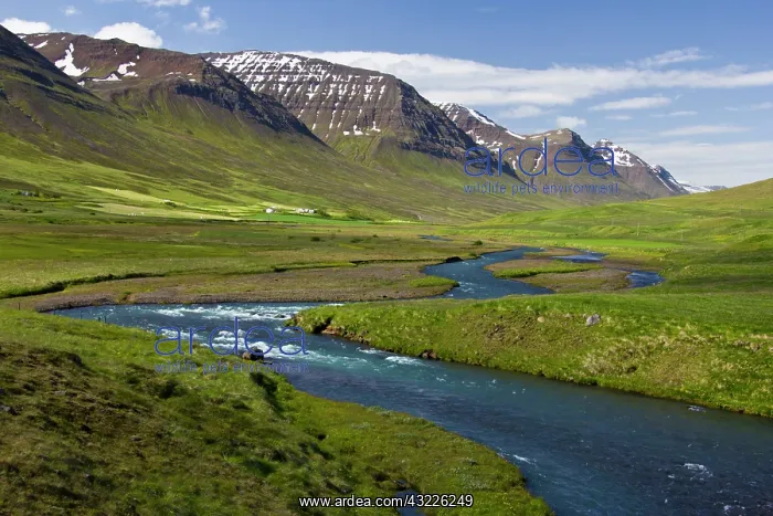 : Europe, Iceland, scenic landscape of Svarfadardalur : Europe, Iceland, scenic landscape of Svarfadardalur