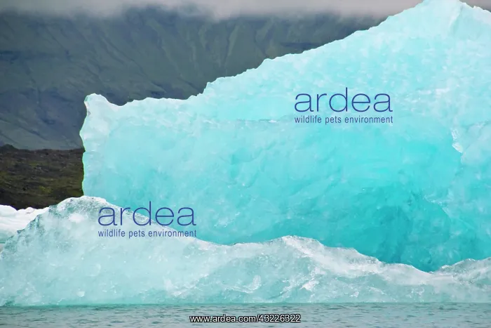 : Europe; Iceland; scenic view of icebergs : Europe; Iceland; scenic view of icebergs