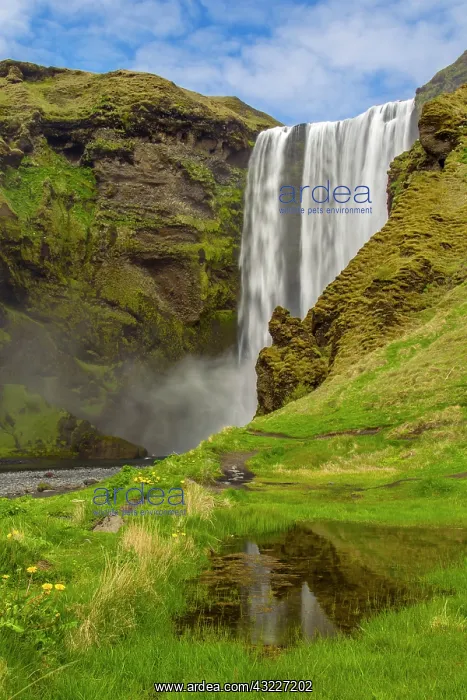 : Europe, Iceland, Skogafoss. Waterfall reflects : Europe, Iceland, Skogafoss. Waterfall reflects