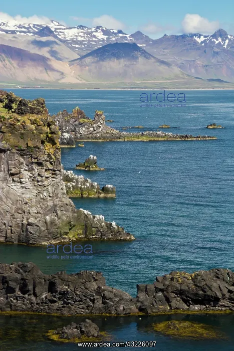 : Europe, Iceland, Snaefellsnes Peninsula : Europe, Iceland, Snaefellsnes Peninsula