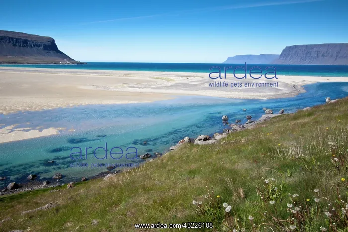: Europe, Iceland, Snaefellsnes Peninsula, North : Europe, Iceland, Snaefellsnes Peninsula, North