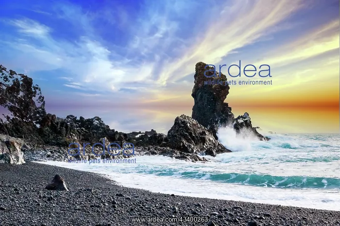 : Europe, Iceland, Sncfellsnes Peninsula, beach, rocks : Europe, Iceland, Sncfellsnes Peninsula, beach, rocks