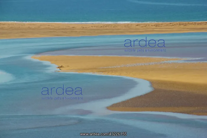 : Europe, Iceland, West Fjords, North Atlantic : Europe, Iceland, West Fjords, North Atlantic