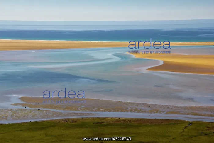 : Europe, Iceland, West Fjords, Raudisandur : Europe, Iceland, West Fjords, Raudisandur