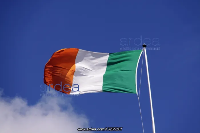 : Europe, Ireland, Dublin. The national flag : Europe, Ireland, Dublin. The national flag