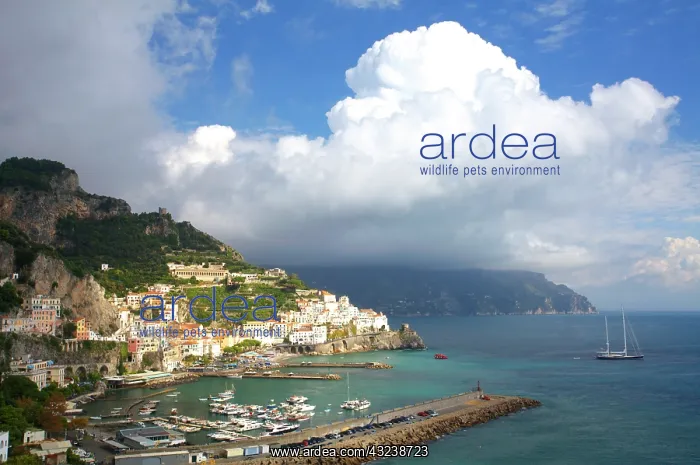: Europe, Italy, Amalfi, Clouds and moving : Europe, Italy, Amalfi, Clouds and moving