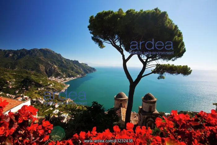 : Europe, Italy, Amalfi Coastline, Ravello : Europe, Italy, Amalfi Coastline, Ravello