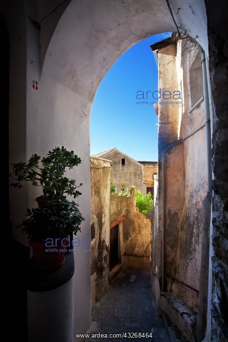 : Europe, Italy, Amalfi, Tinny Back Alley : Europe, Italy, Amalfi, Tinny Back Alley