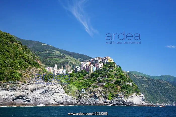 : Europe. Italy. Cinque Terre. Corniglia : Europe. Italy. Cinque Terre. Corniglia