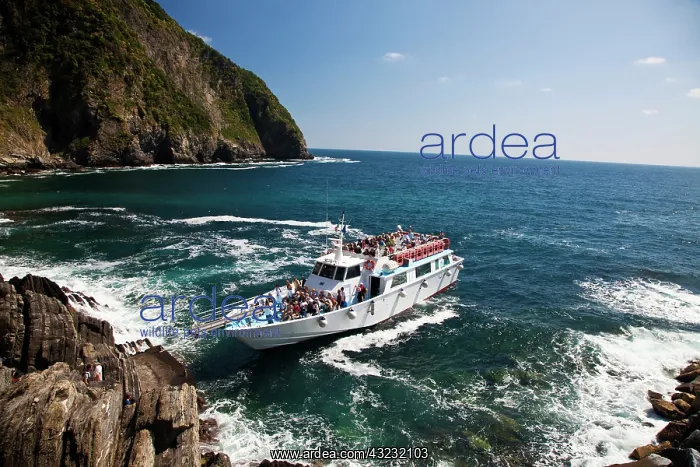 : Europe. Italy. Cinque Terre. Manarola. Cinque : Europe. Italy. Cinque Terre. Manarola. Cinque
