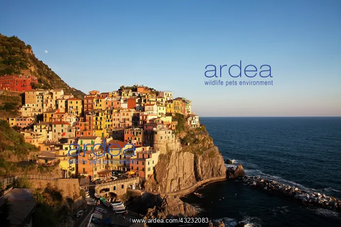 : Europe. Italy. Cinque Terre. Manarola. Evening : Europe. Italy. Cinque Terre. Manarola. Evening