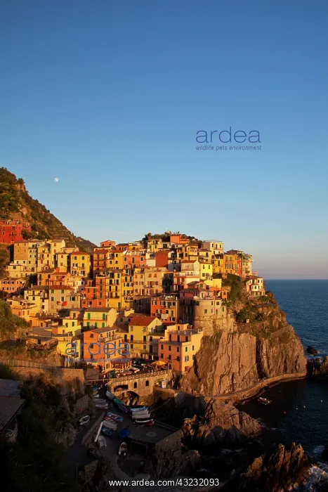 : Europe. Italy. Cinque Terre. Manarola. Evening : Europe. Italy. Cinque Terre. Manarola. Evening