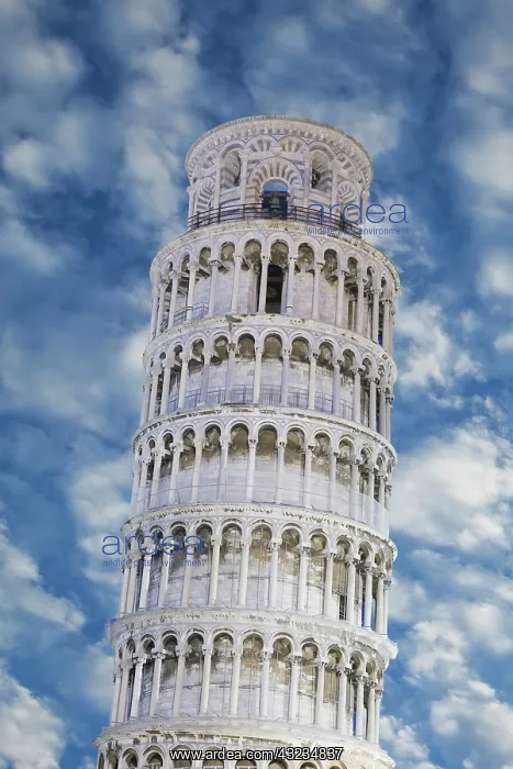  : Europe, Italy, Pisa. View of top part of