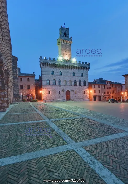 : Europe, Italy, Tuscany, Montepulciano : Europe, Italy, Tuscany, Montepulciano