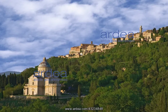 : Europe, Italy, Tuscany, Montepulciano. Church : Europe, Italy, Tuscany, Montepulciano. Church