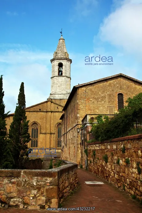 : Europe, Italy, Tuscany. Pienza. Pienza Cathedral : Europe, Italy, Tuscany. Pienza. Pienza Cathedral