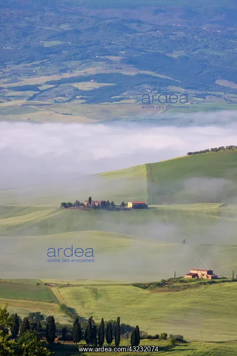 : Europe, Italy, Tuscany. Pienza. Villa with : Europe, Italy, Tuscany. Pienza. Villa with