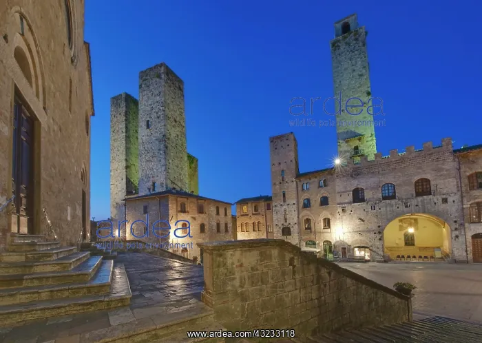 : Europe, Italy, Tuscany, San Gimignano, Piazza : Europe, Italy, Tuscany, San Gimignano, Piazza