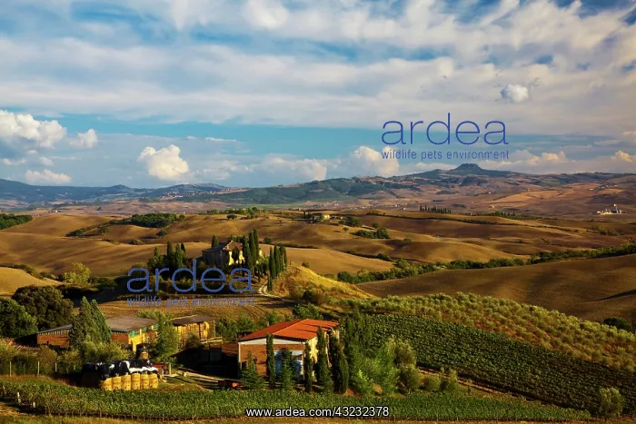 : Europe, Italy, Tuscany, San Quirico D'Orcia : Europe, Italy, Tuscany, San Quirico D'Orcia