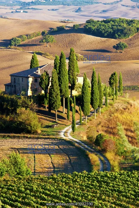 : Europe, Italy, Tuscany, San Quirico D'Orcia : Europe, Italy, Tuscany, San Quirico D'Orcia