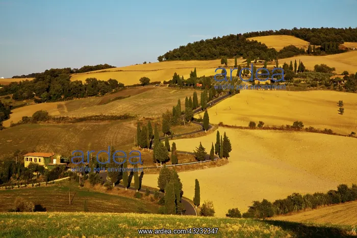 : Europe, Italy, Tuscany, Zig Zag Road Through : Europe, Italy, Tuscany, Zig Zag Road Through