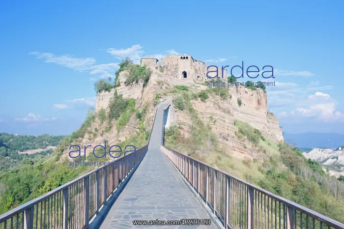 : Europe, Italy, Umbria, Civita, Bridge to : Europe, Italy, Umbria, Civita, Bridge to