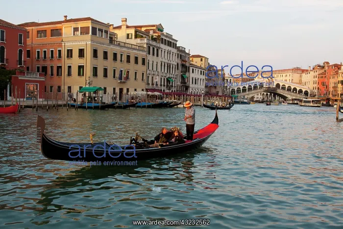: Europe, Italy, Venice, Gondola's On the : Europe, Italy, Venice, Gondola's On the