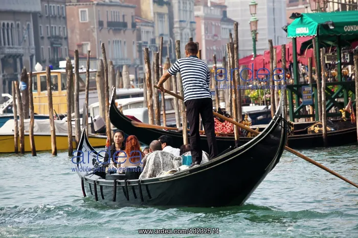 : Europe, Italy, Venice, Gondolas on the Canals : Europe, Italy, Venice, Gondolas on the Canals