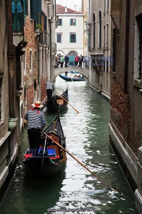 : Europe, Italy, Venice. Gondoliers In back : Europe, Italy, Venice. Gondoliers In back