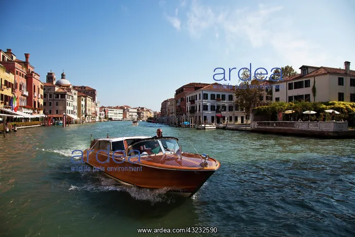 : Europe, Italy, Venice, Grand Canal of Venice : Europe, Italy, Venice, Grand Canal of Venice