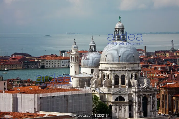 : Europe. Italy. Venice. Roof Tops From the : Europe. Italy. Venice. Roof Tops From the