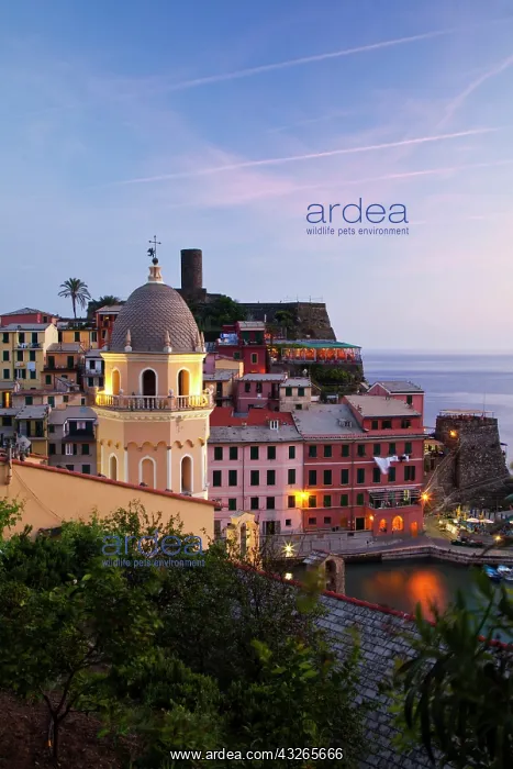 : Europe. Italy. Vernazza : Europe. Italy. Vernazza
