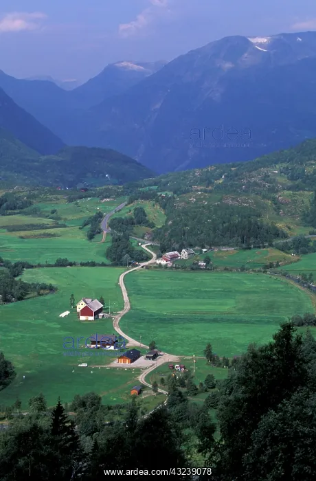 : Europe, Norway, Geirangerfjord, Geiranger : Europe, Norway, Geirangerfjord, Geiranger