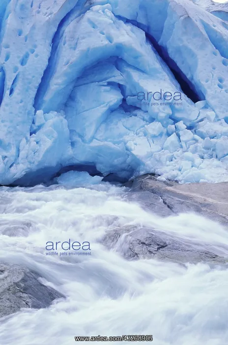 : Europe, Norway, Jostedalsbreen National : Europe, Norway, Jostedalsbreen National