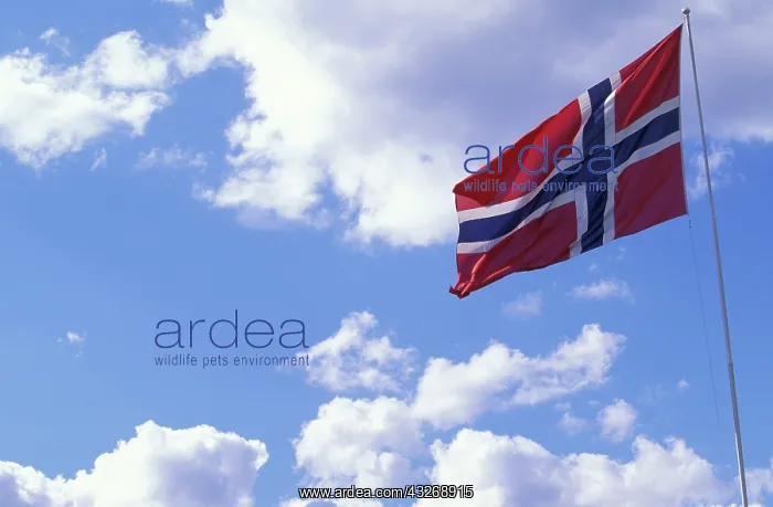 : Europe, Norway, Lillehammar. National flag : Europe, Norway, Lillehammar. National flag