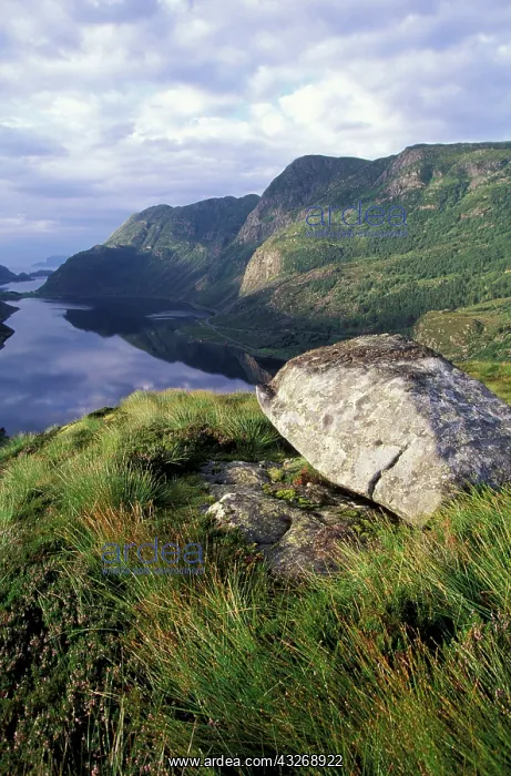 : Europe, Norway, Maloy. Alpine tundra above : Europe, Norway, Maloy. Alpine tundra above