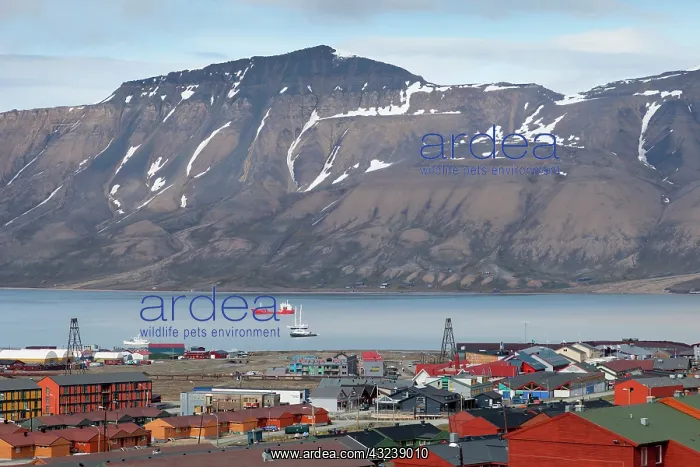 : Europe, Norway, Svalbard, Longyearbyen : Europe, Norway, Svalbard, Longyearbyen