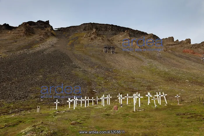 : Europe, Norway, Svalbard, Longyearbyen : Europe, Norway, Svalbard, Longyearbyen
