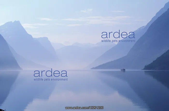 : Europe, Norway. Vertical walls reflected : Europe, Norway. Vertical walls reflected