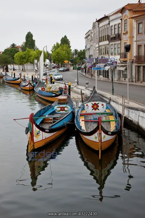: Europe, Portugal, Aveiro. Moliceiro boats : Europe, Portugal, Aveiro. Moliceiro boats