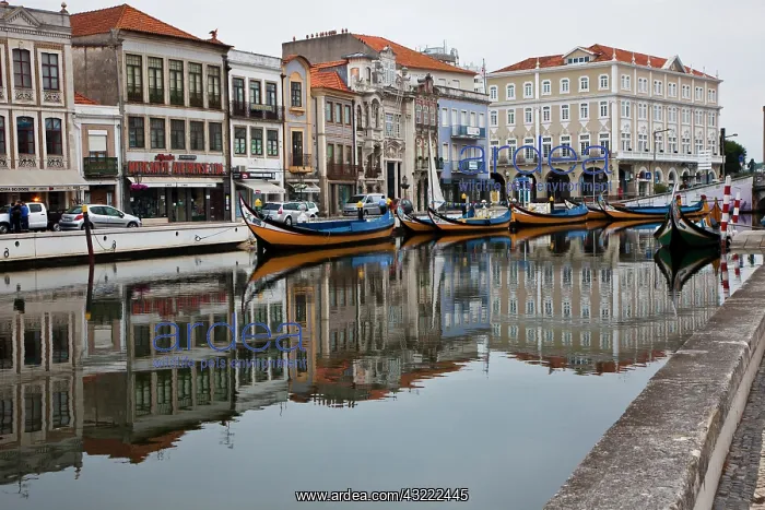 : Europe, Portugal, Aveiro. Moliceiro boats : Europe, Portugal, Aveiro. Moliceiro boats