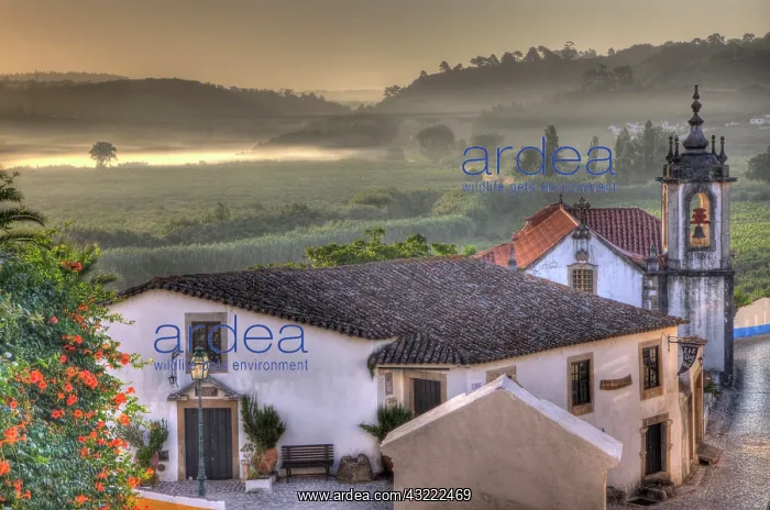 : Europe, Portugal, Leiria, Obidos. Obidos : Europe, Portugal, Leiria, Obidos. Obidos