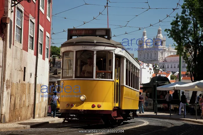 : Europe, Portugal, Lisbon. Traditional yellow : Europe, Portugal, Lisbon. Traditional yellow