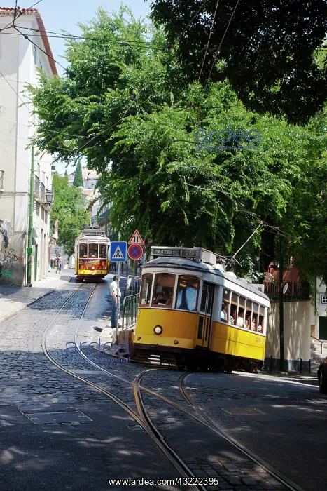 : Europe, Portugal, Lisbon. Traditional yellow : Europe, Portugal, Lisbon. Traditional yellow